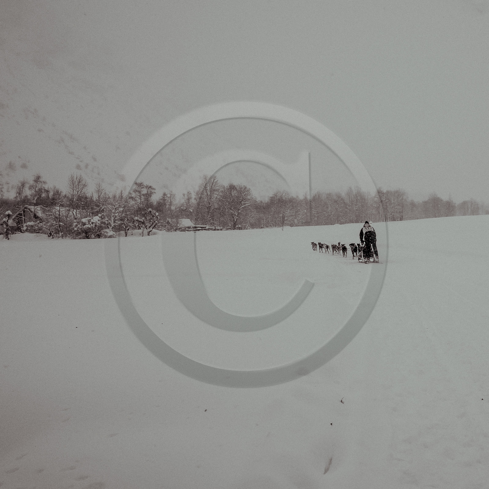 La Valgaude Traineau 2015