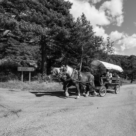 25 septembre 2019 : Promenade en calèche