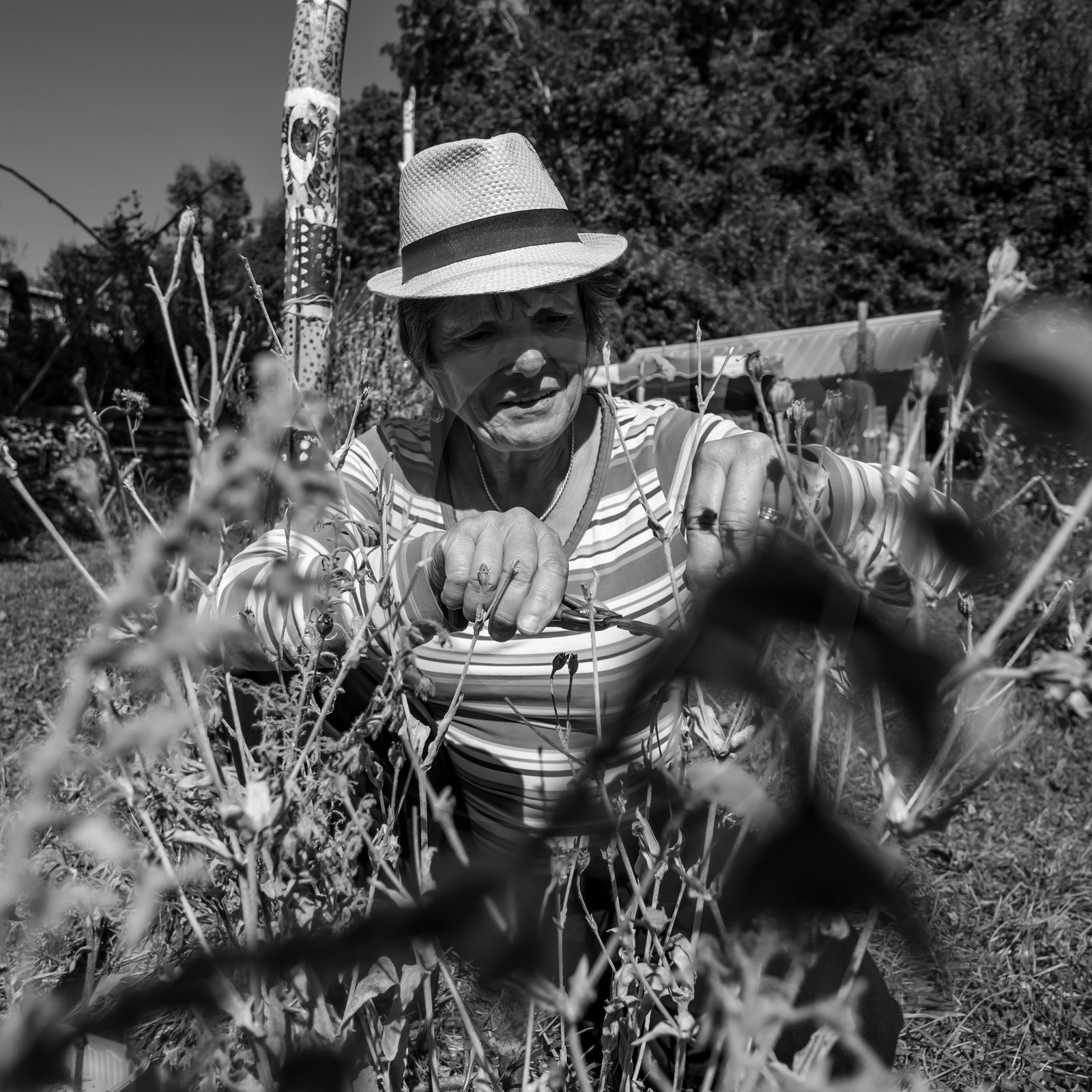 22 septembre 2021 : plein d'activités à l'Ouort