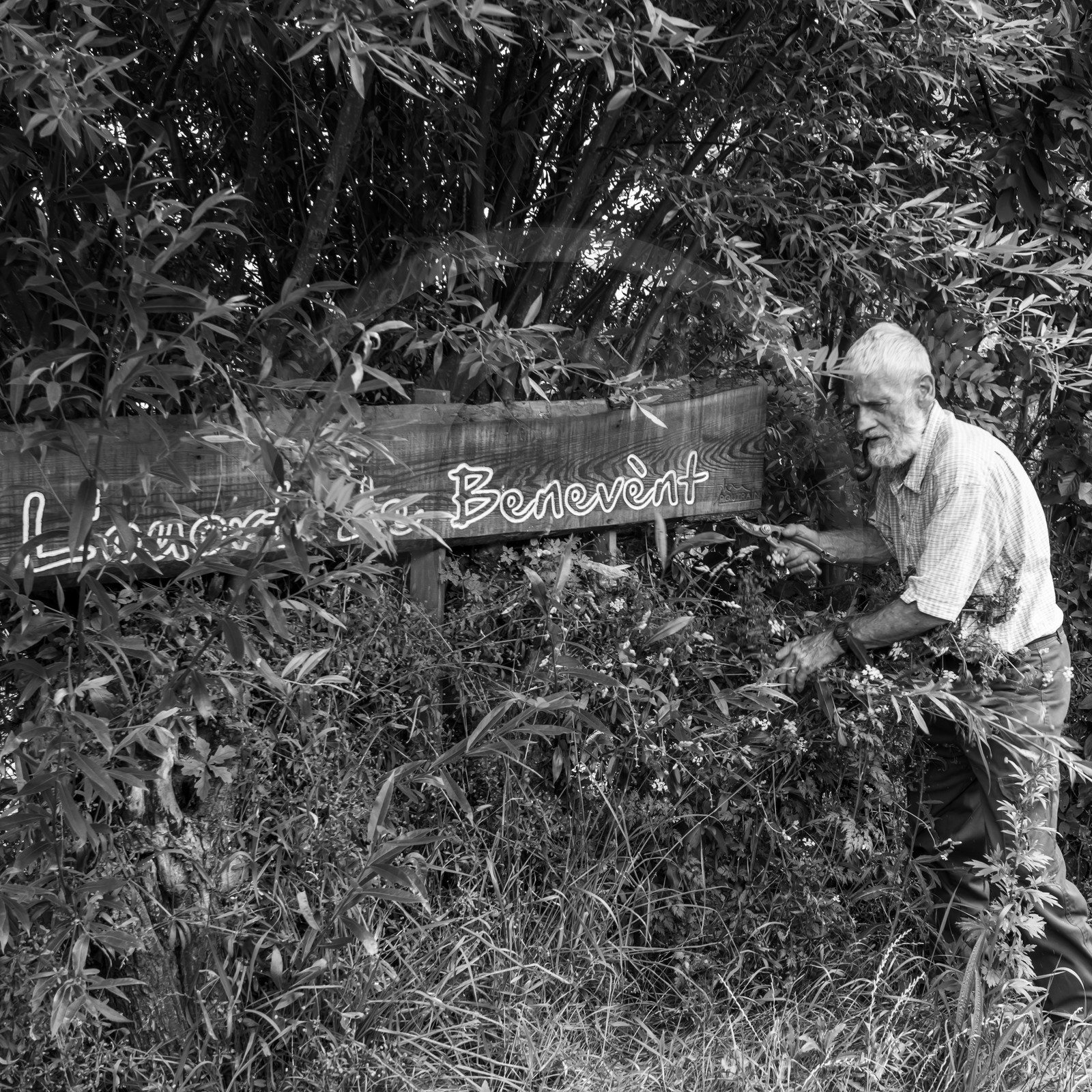 Promenades au jardin