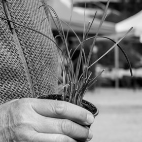 25 mai 2019 : Vide-Jardin de l'Ouort de Benevènt