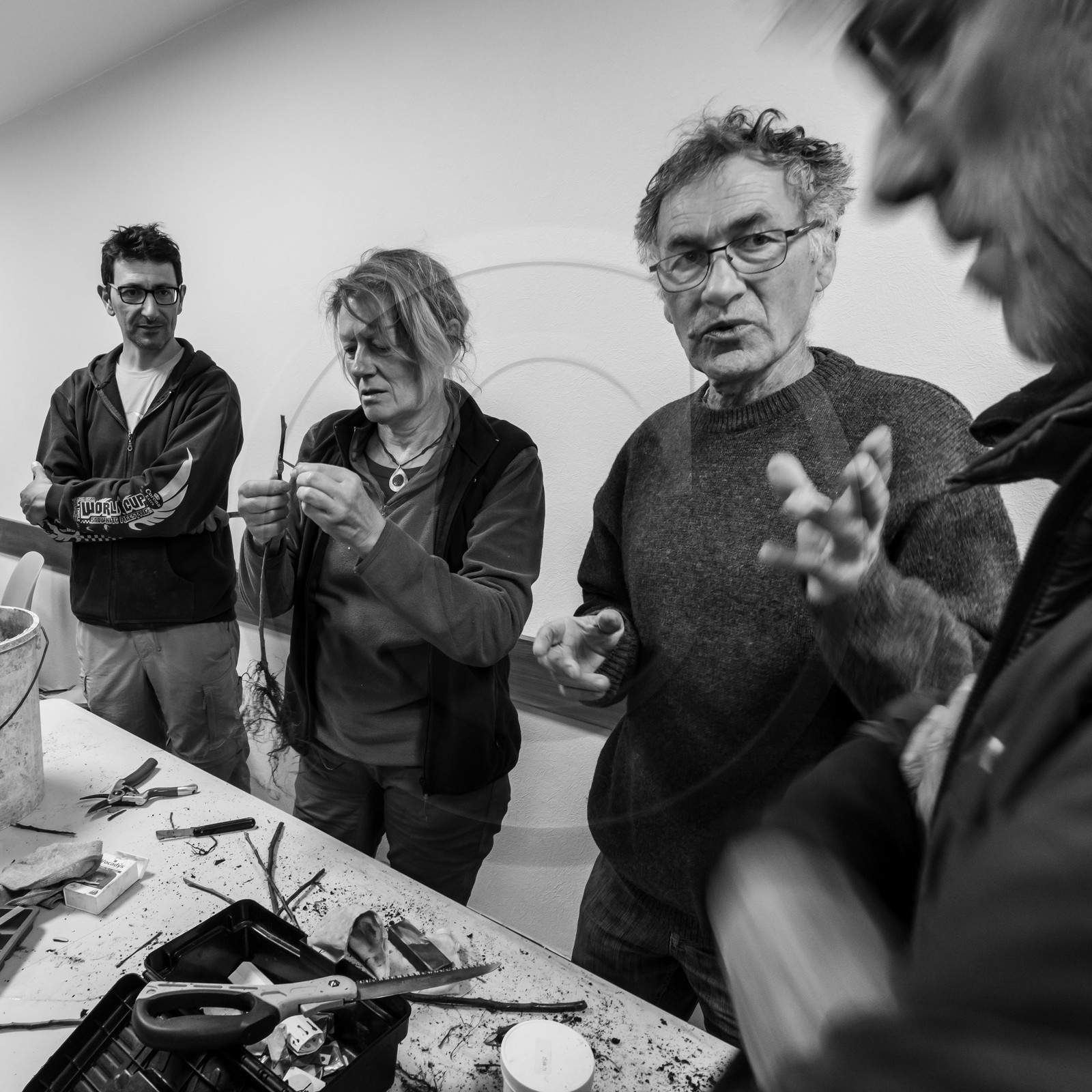 03 avril 2019 : Initiation à la greffe d'arbres fruitiers