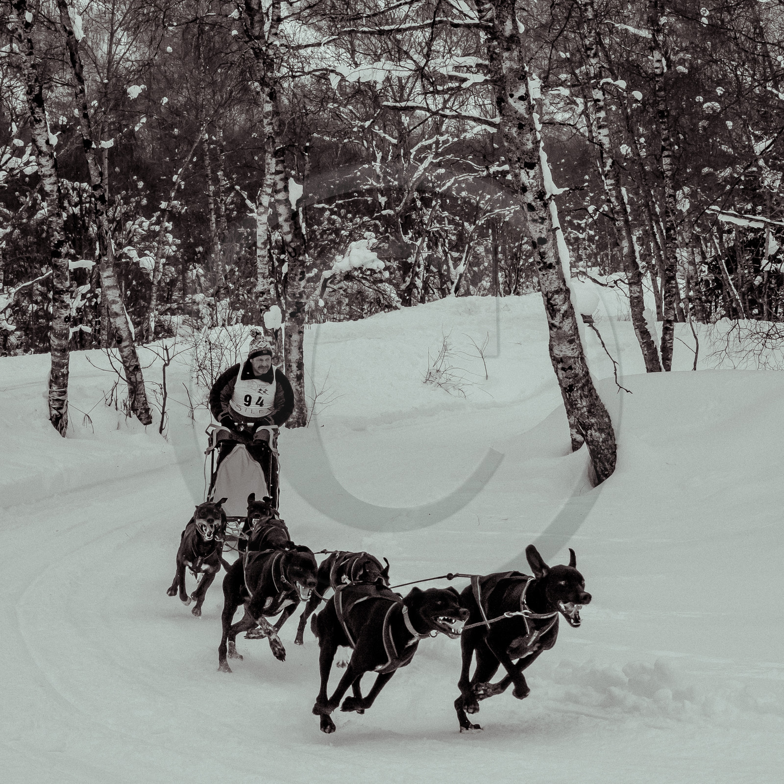 La Valgaude Traineau 2015