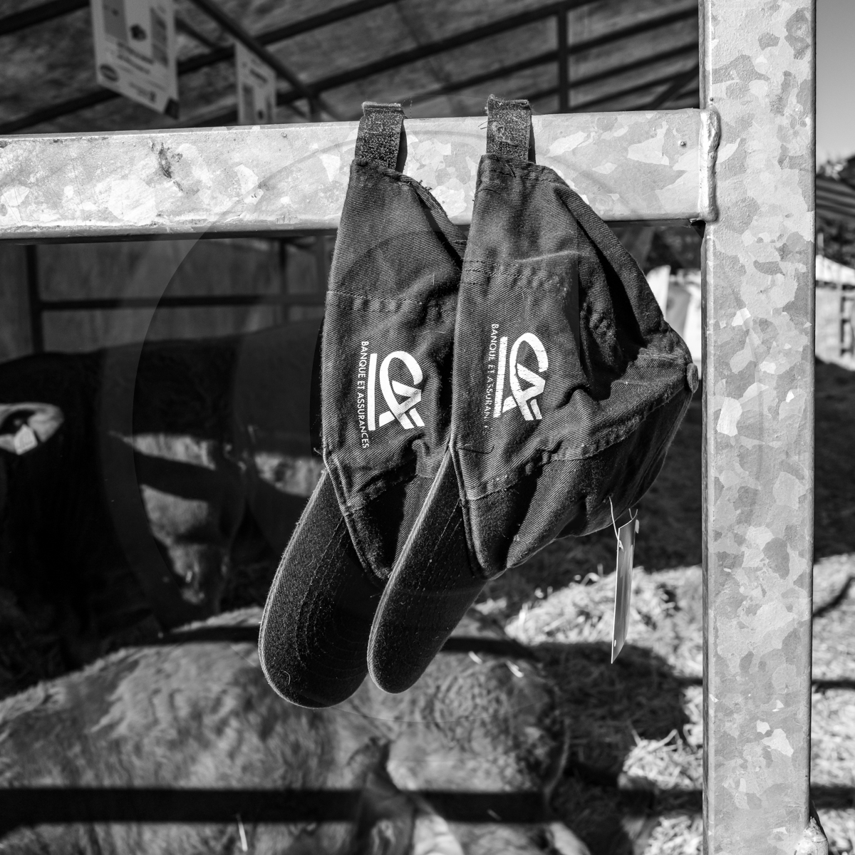 Rencontres paysannes à Saint-Bonnet en Champsaur