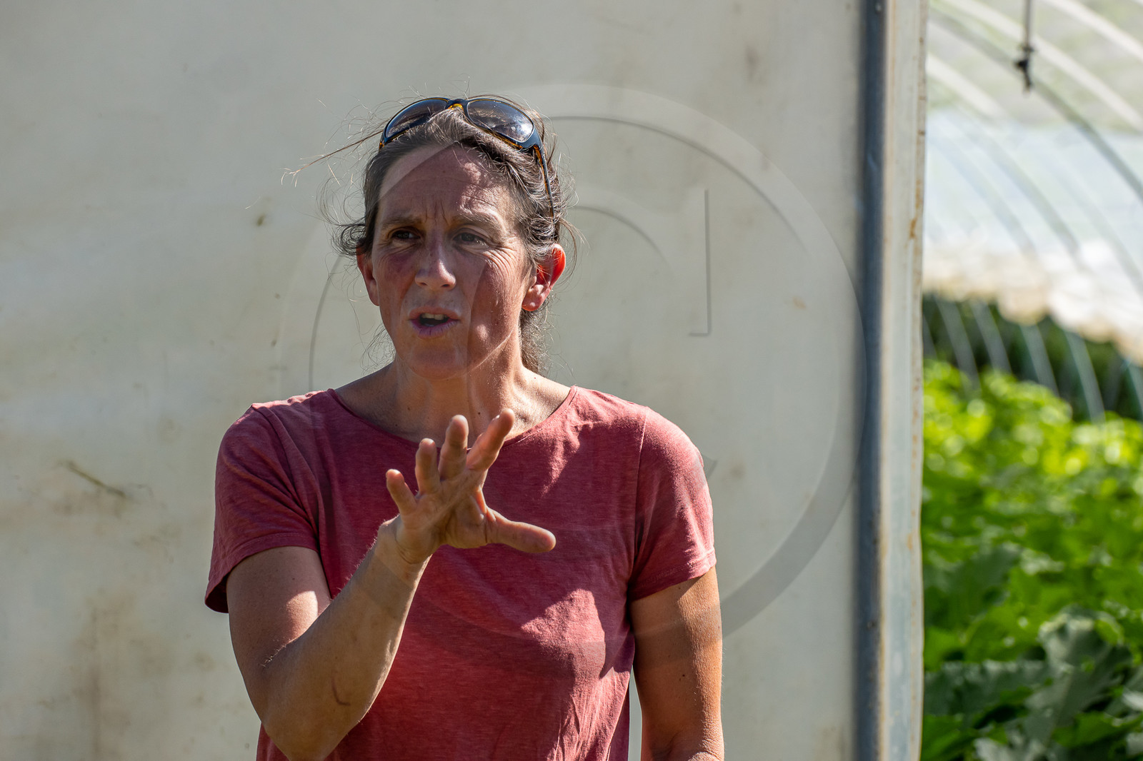 Légumontagne : maraichage biologique à Ancelle