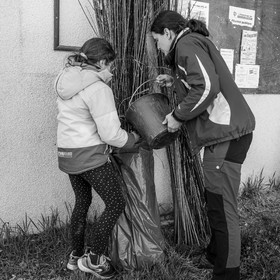 10 avril 2024 : Osier, laine et taille