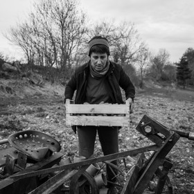La plantation des pommes de terre
