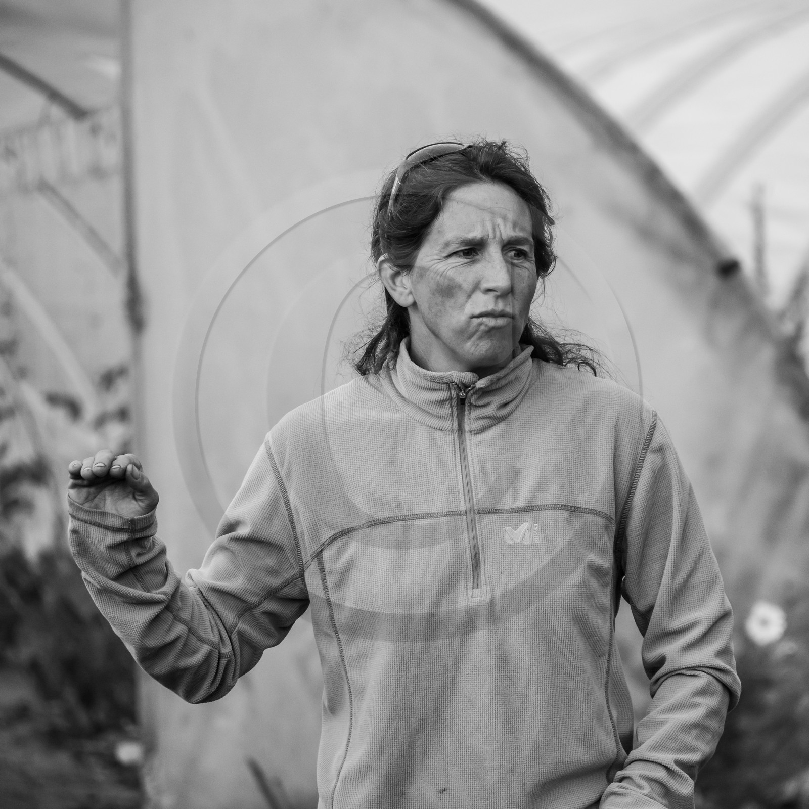 Maraichage biologique dans le Champsaur Maraichage biologique dans le Champsaur