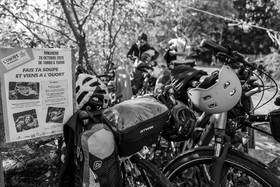 26 octobre 2025 : Les oiseaux de trottoir