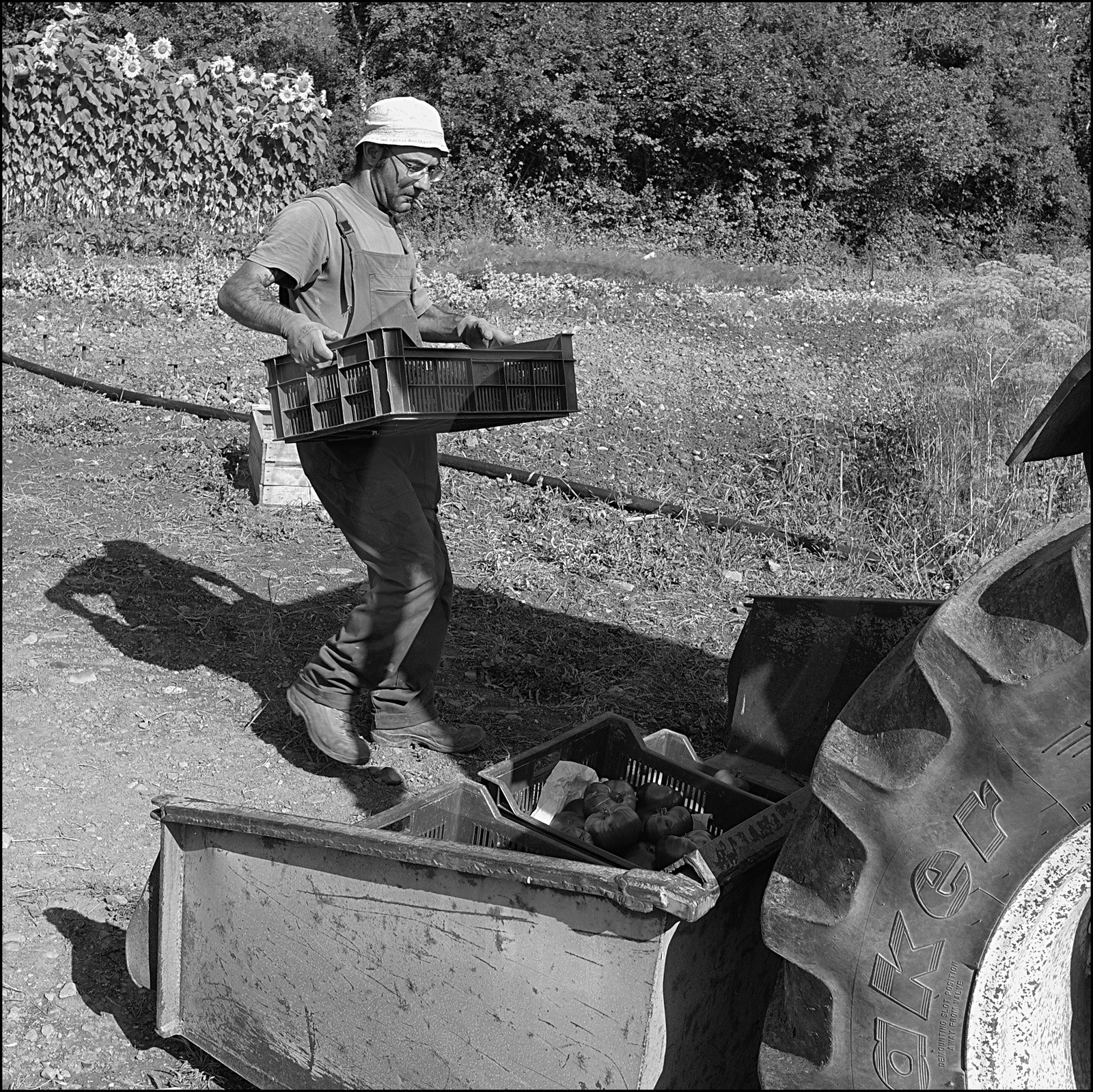 Maraichage à Pelleautier