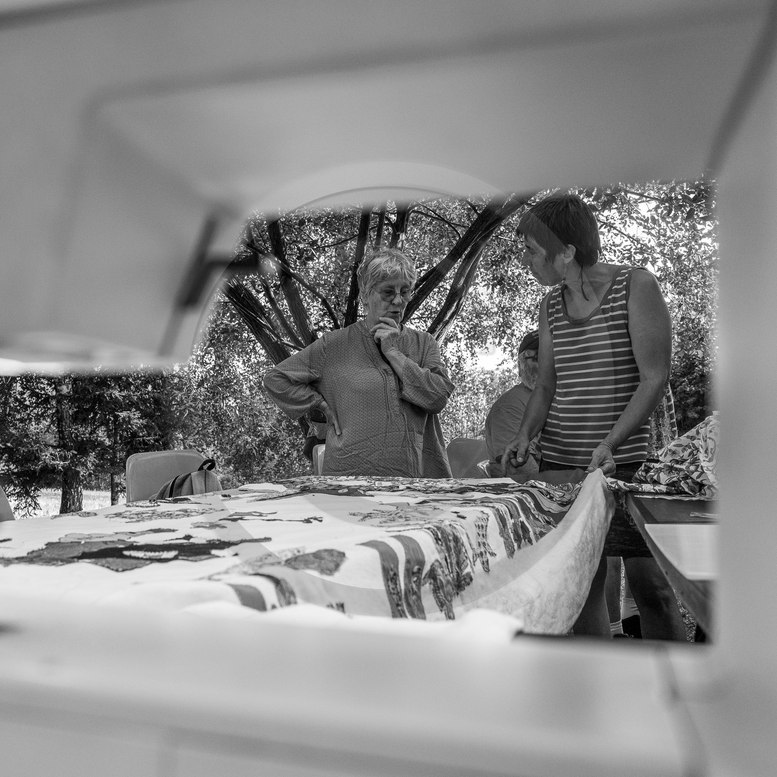 06 septembre 2023 : laine, couture et semis 06 septembre 2023 : laine, couture et semis