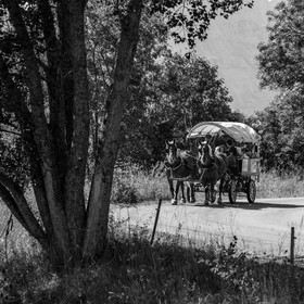 01 septembre 2021 : Promenade en cariole et contes