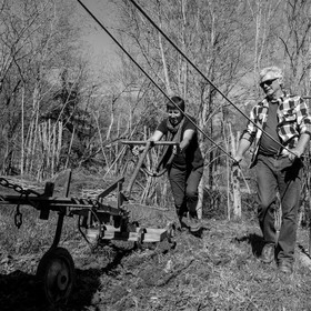 Labour avec un cheval - 17 04 17