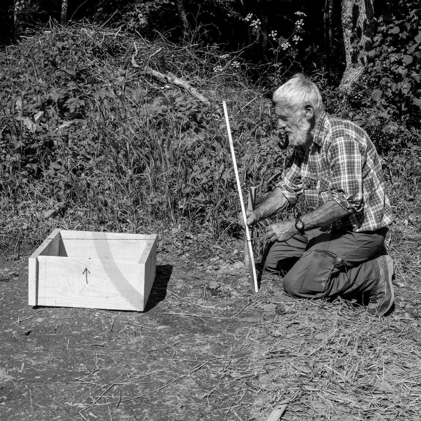 L'installation de la cabane