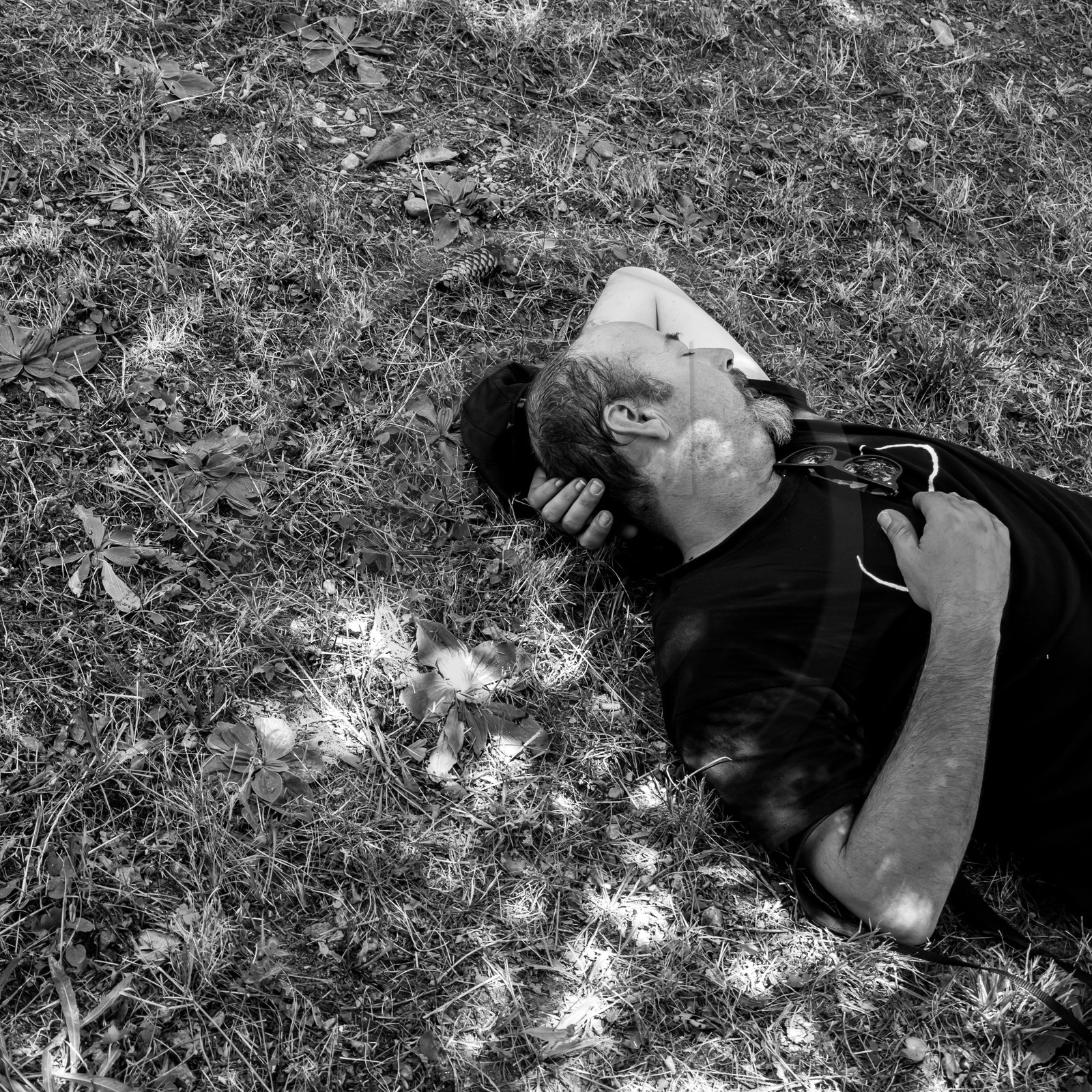 07 août 2017 - Sieste Musicale