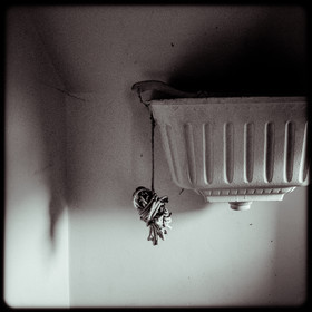 La ferme Pelissier La ferme Pelissier