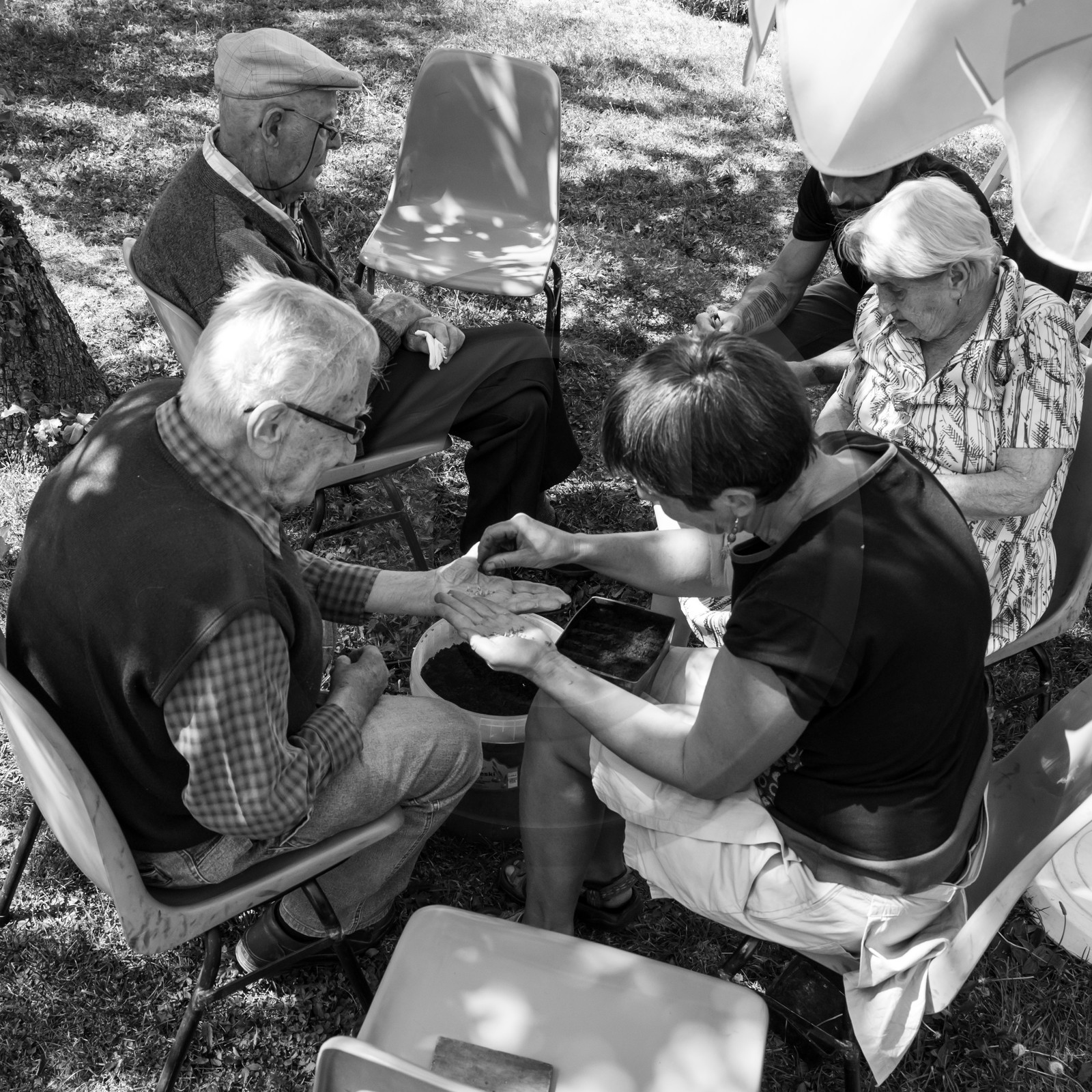 23 août 2017 - Animations