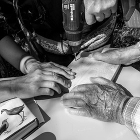 Fabrication de Nichoirs