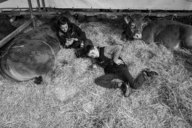 Rencontres paysannes à Saint-Bonnet en Champsaur