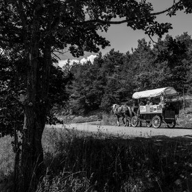 01 septembre 2021 : Promenade en cariole et contes