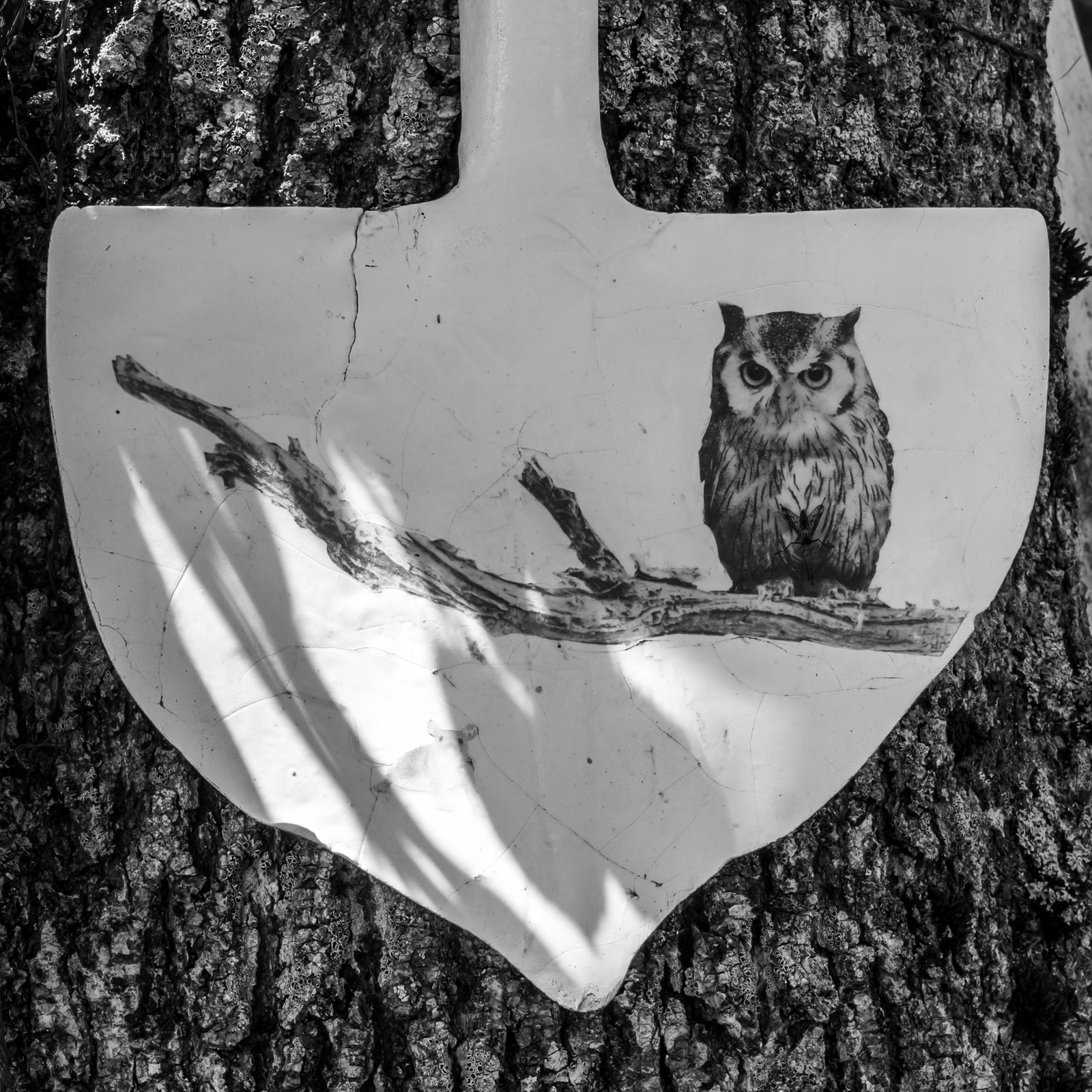 28 mai 2025 : Jeux, Osier, Photos, Jardinage...