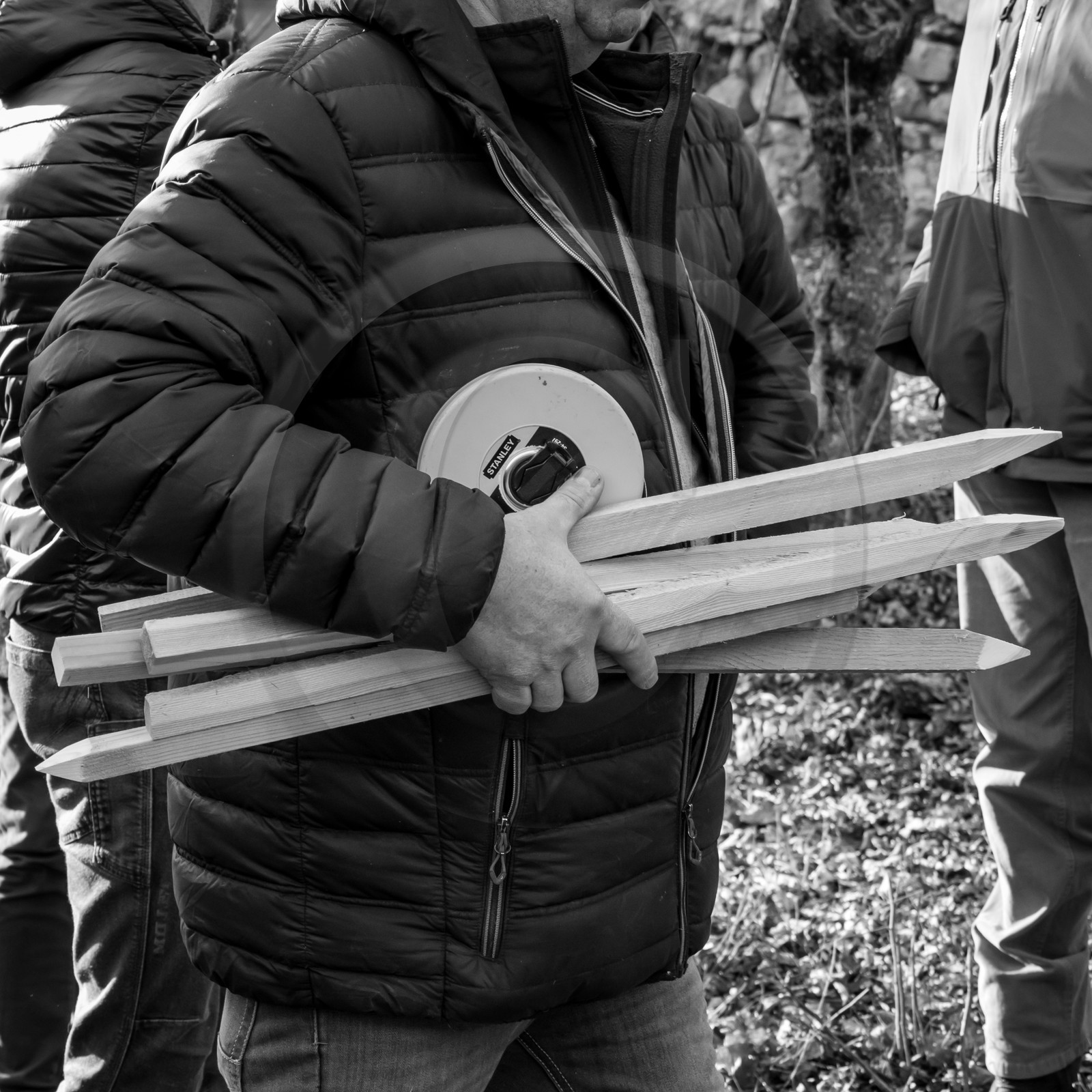 dlebioda-03012017-L1176315.jpg