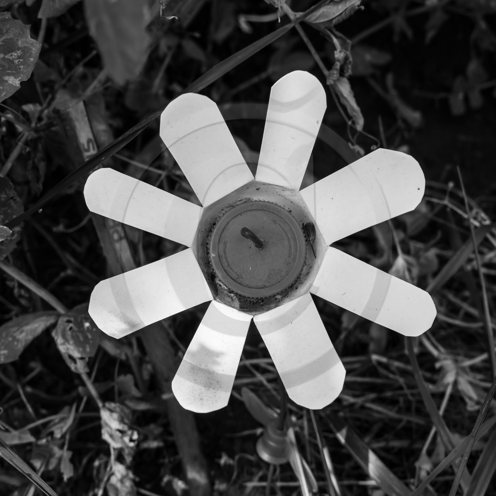 17 juillet 2019 : massages assis 17 juillet 2019 : massages assis