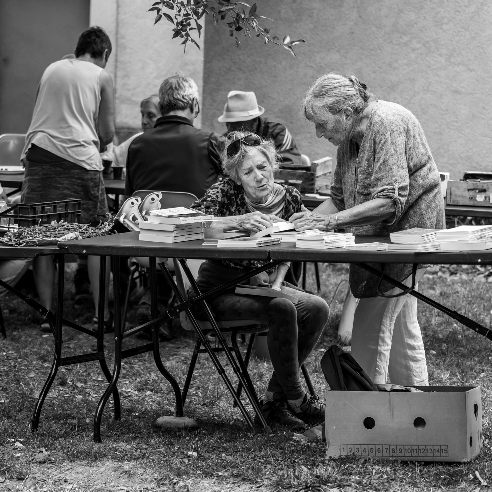 Le Noyer, village champsaurin
