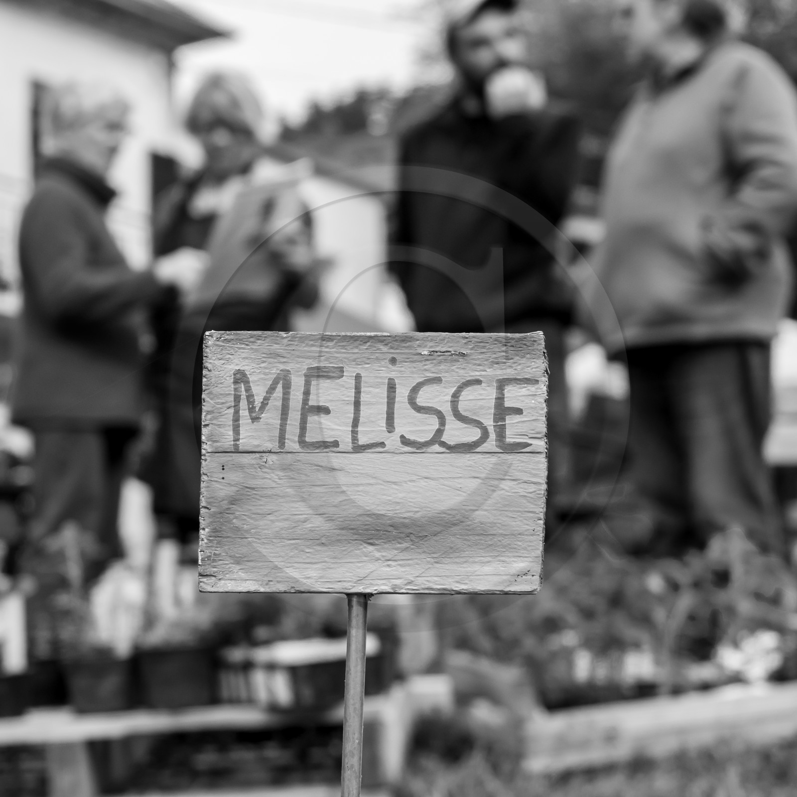 25 mai 2019 : Vide-Jardin de l'Ouort de Benevènt