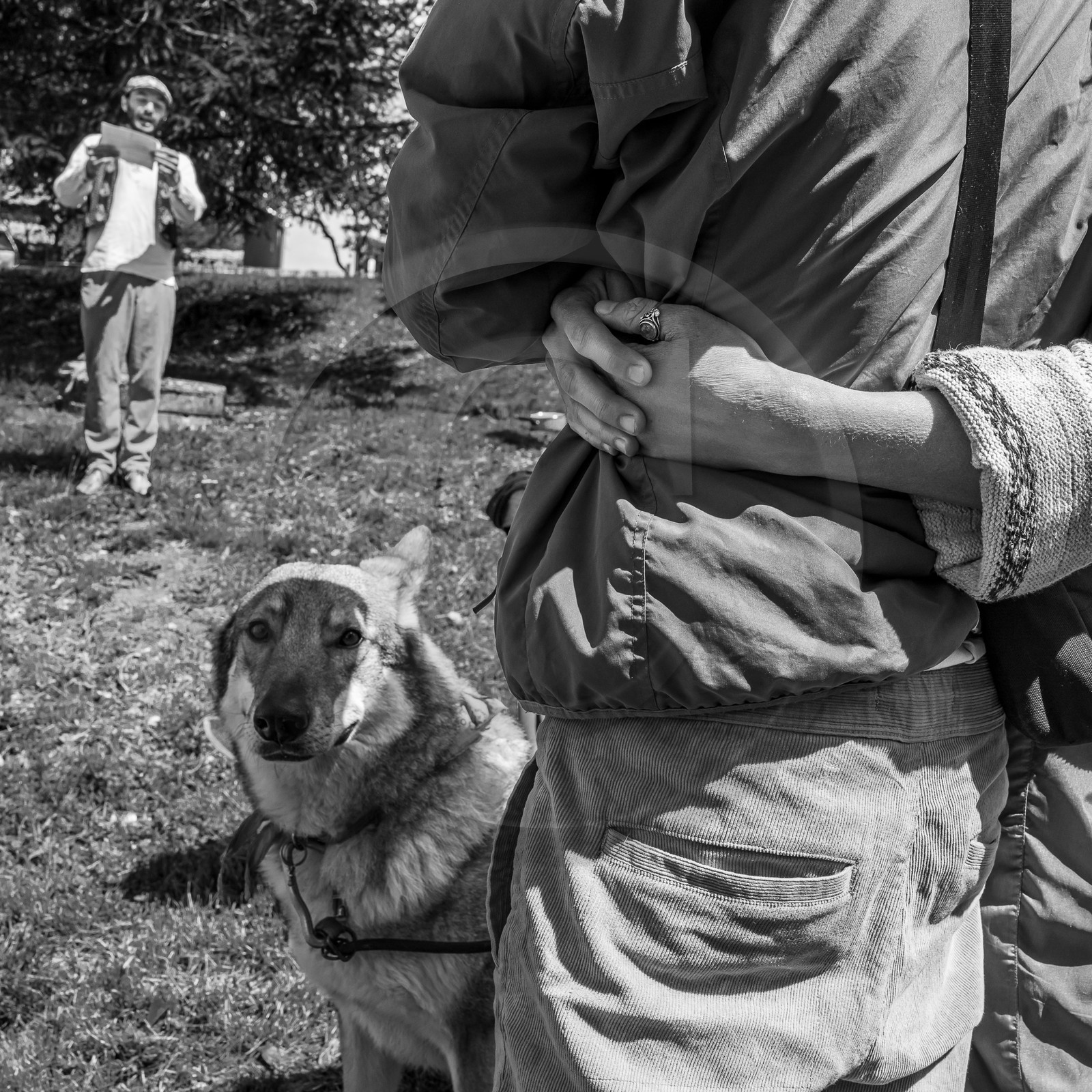 14 mai 2023 : Vide-Jardin