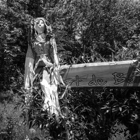 07 juin 2017 - Plantation - Haie - Réunion