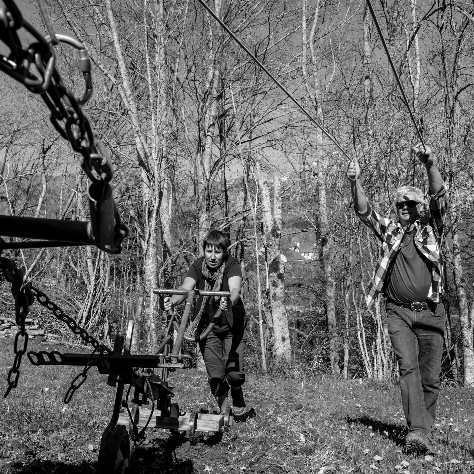 Labour avec un cheval - 17 04 17