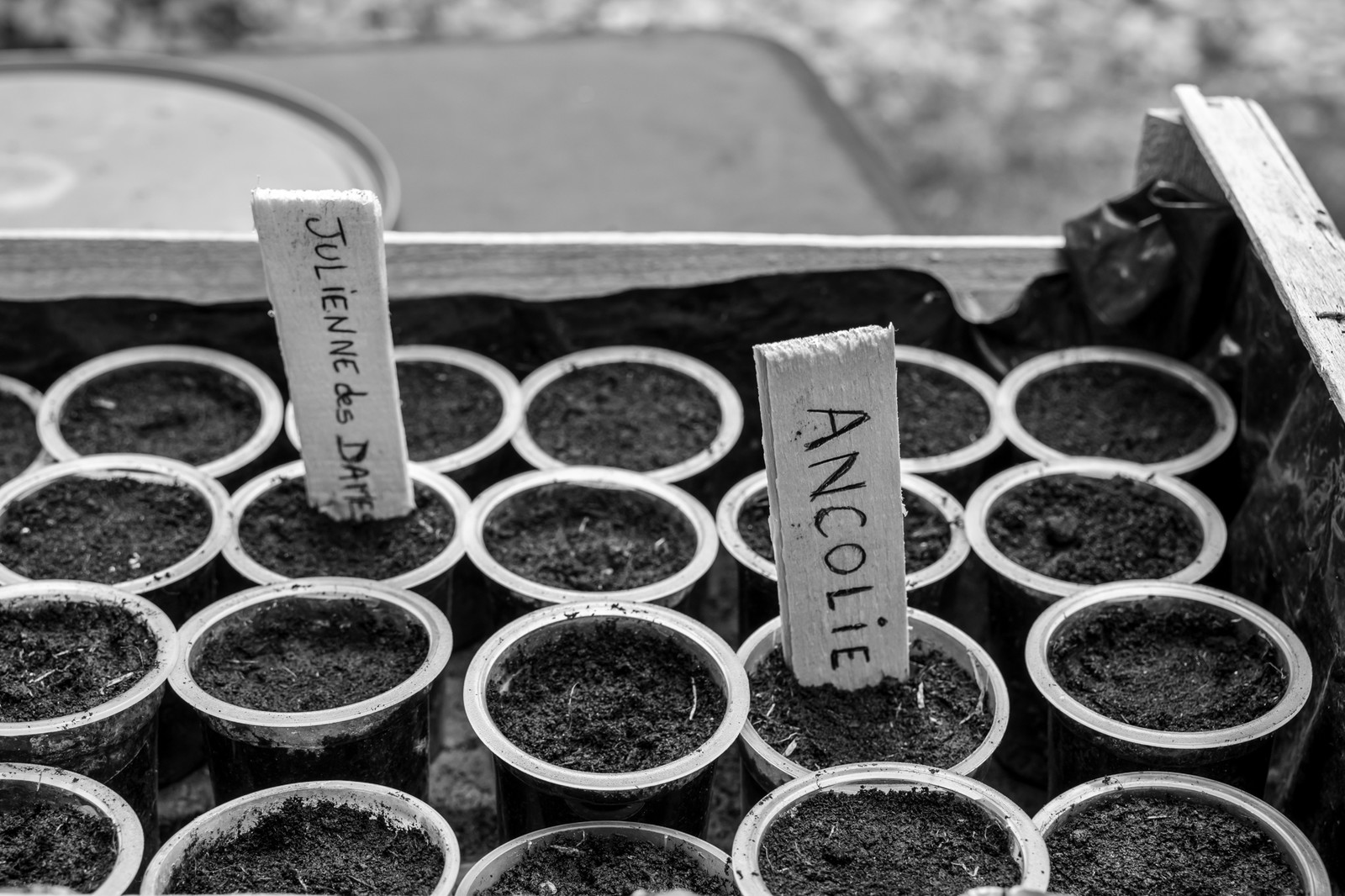 Le Noyer, village champsaurin