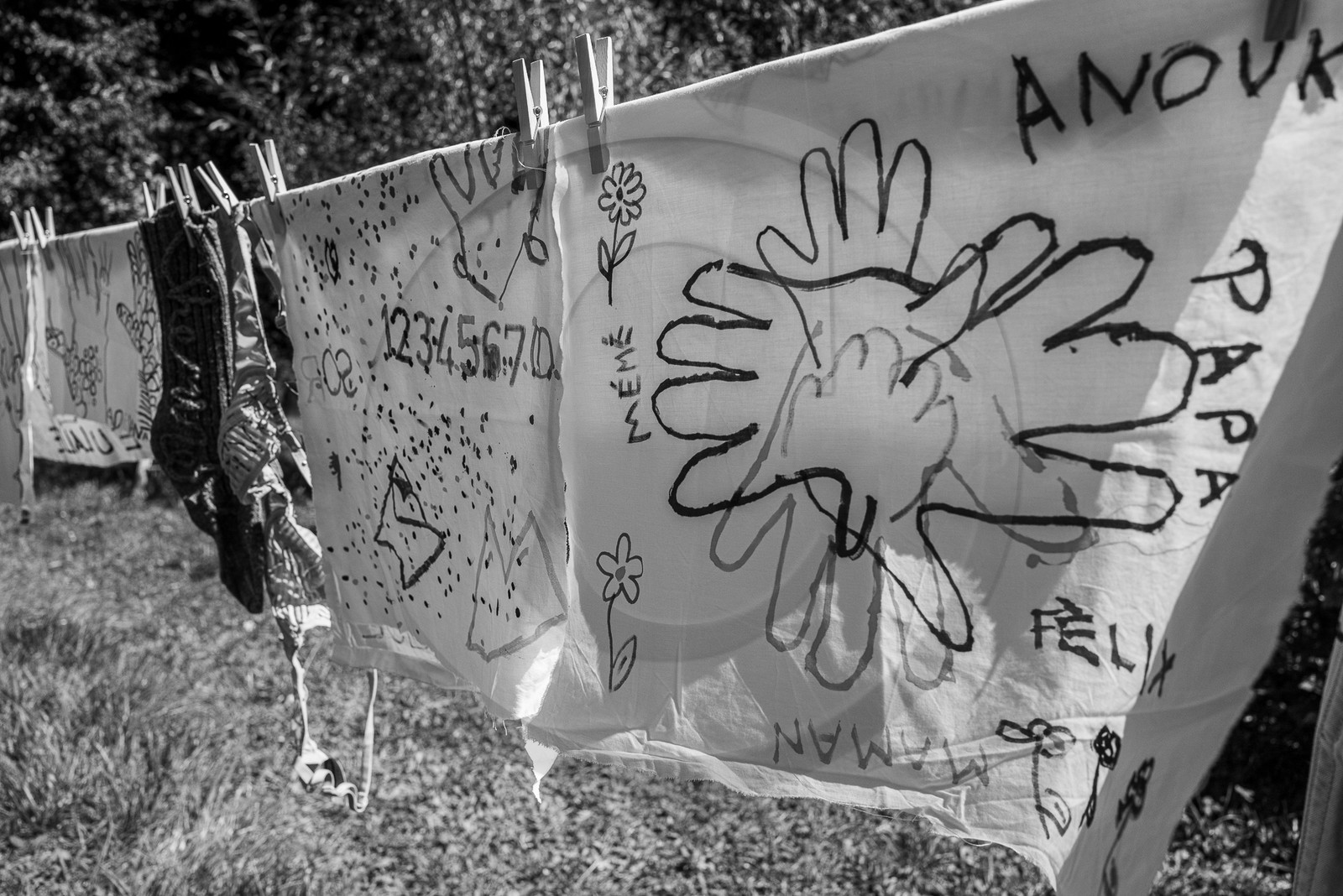 06 septembre 2023 : laine, couture et semis 06 septembre 2023 : laine, couture et semis