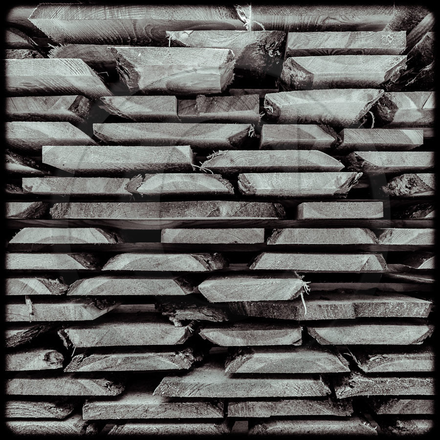 Promenade en forêt Promenade en forêt