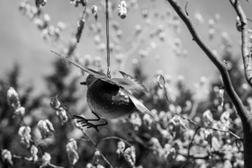 27 juin 2025 : Journée des aidants
