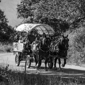 01 septembre 2021 : Promenade en cariole et contes