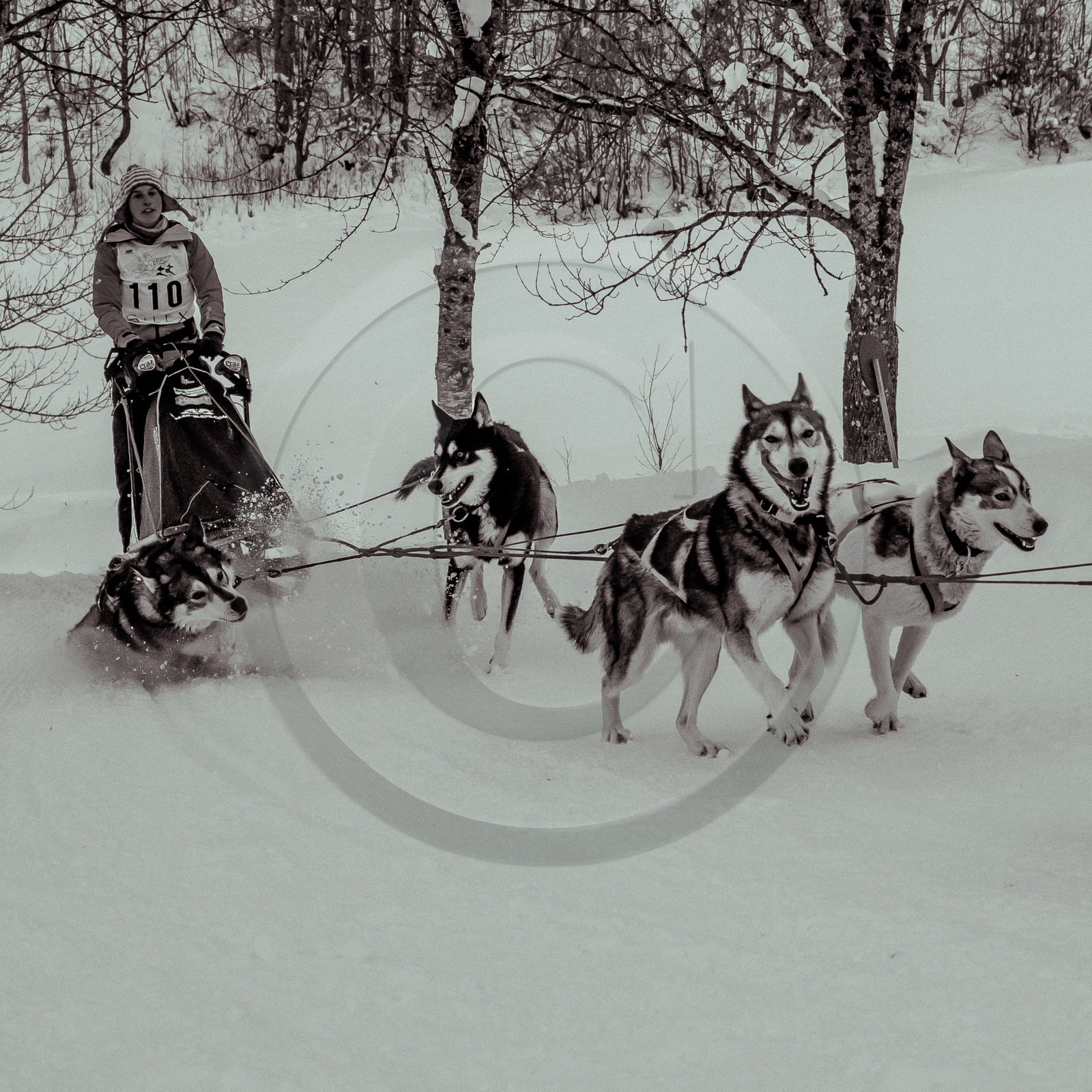 La Valgaude Traineau 2015