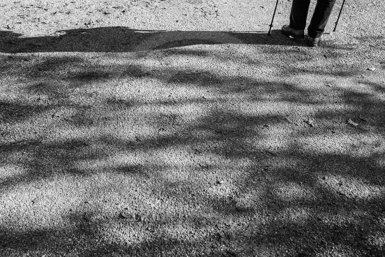 30 octobre 2024 : Découverte du Bao Pao avec Jean Schumtz et la compagnie La Puce à l'Oreille