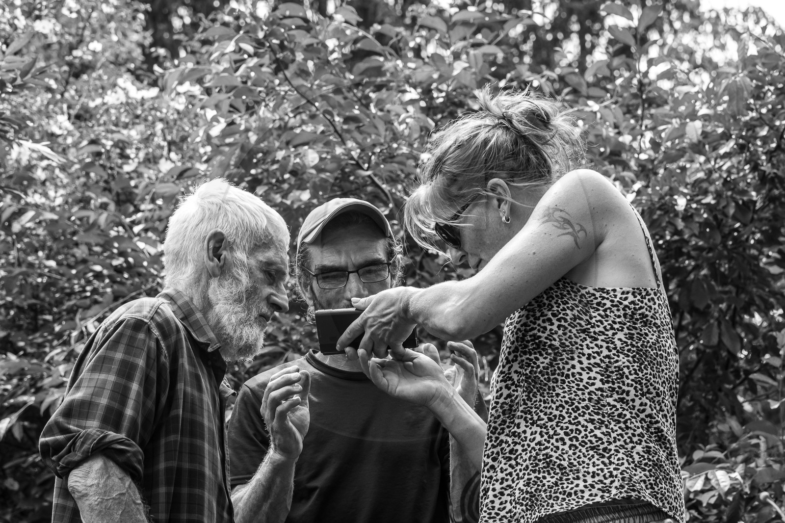 21 juin 2023 : Découverte botanique 21 juin 2023 : Découverte botanique