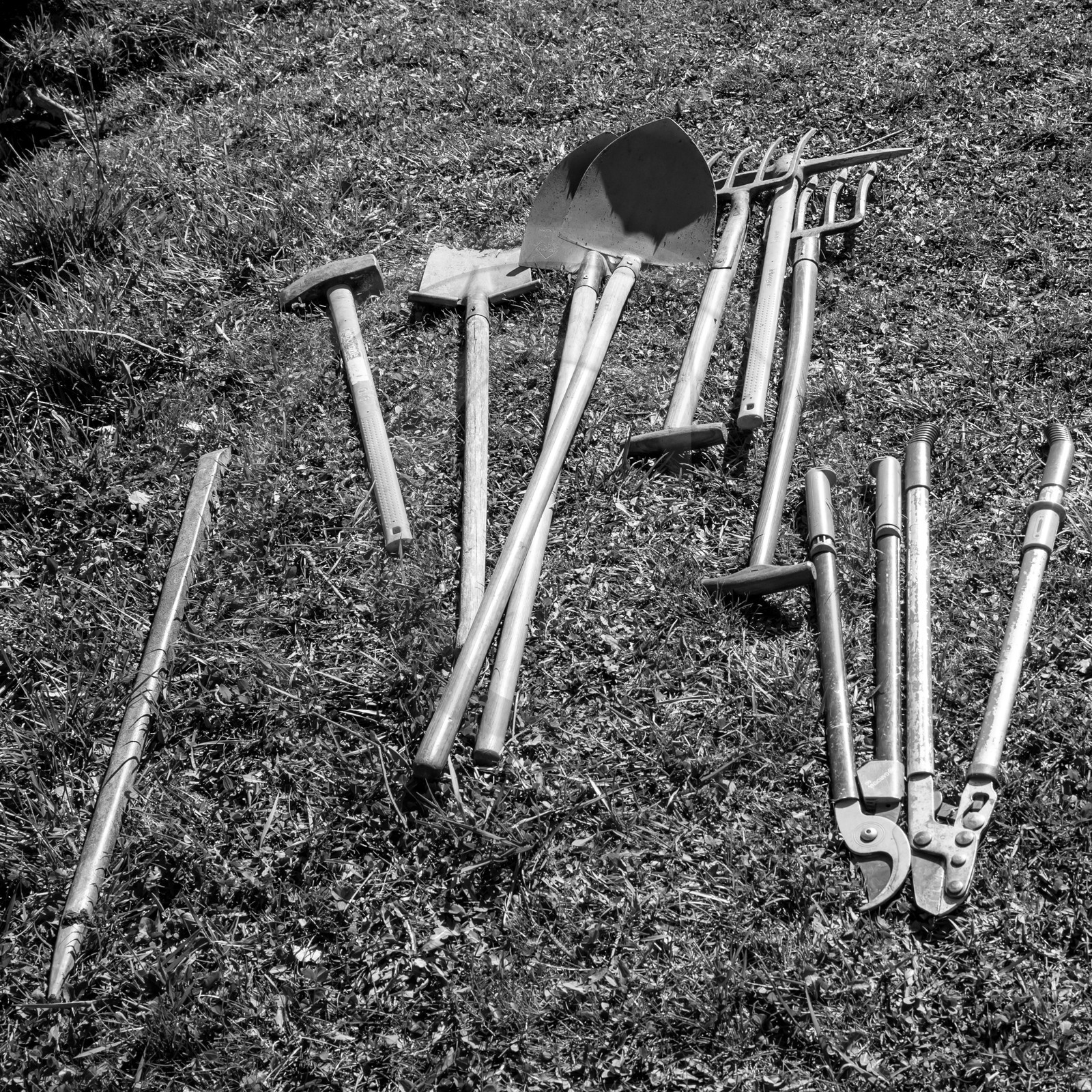 Nettoyage du terrain - Coupe du bois - 29 03 17