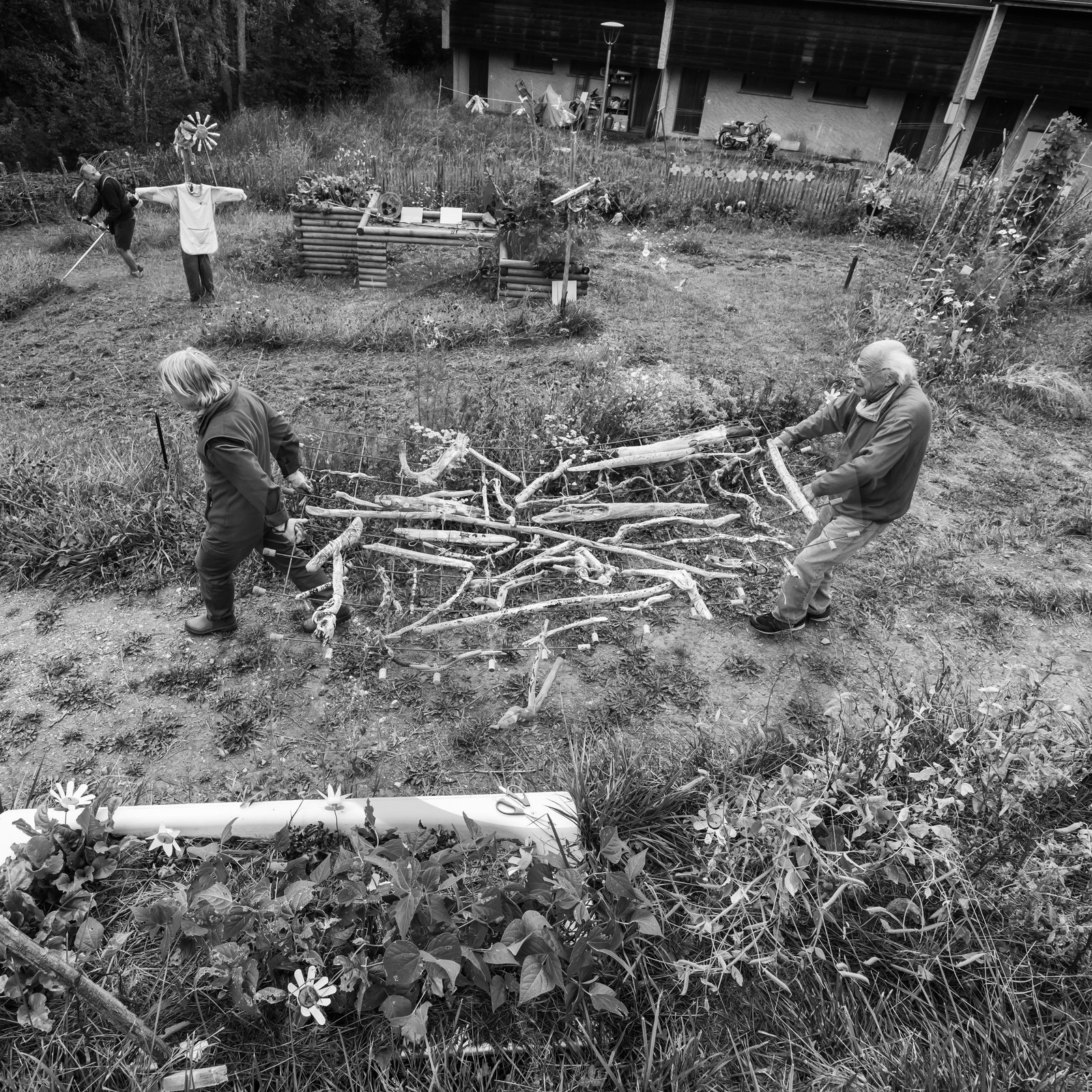 21 août 2019 : installation d'une oeuvre en bois flotté