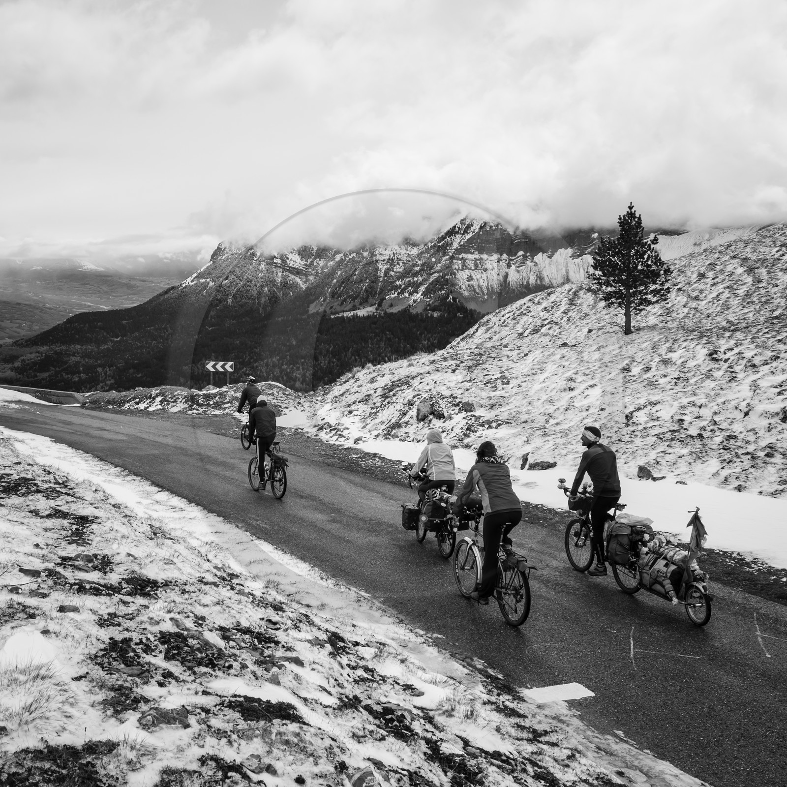 dlebioda-01052016-L1161802.jpg dlebioda-01052016-L1161802.jpg