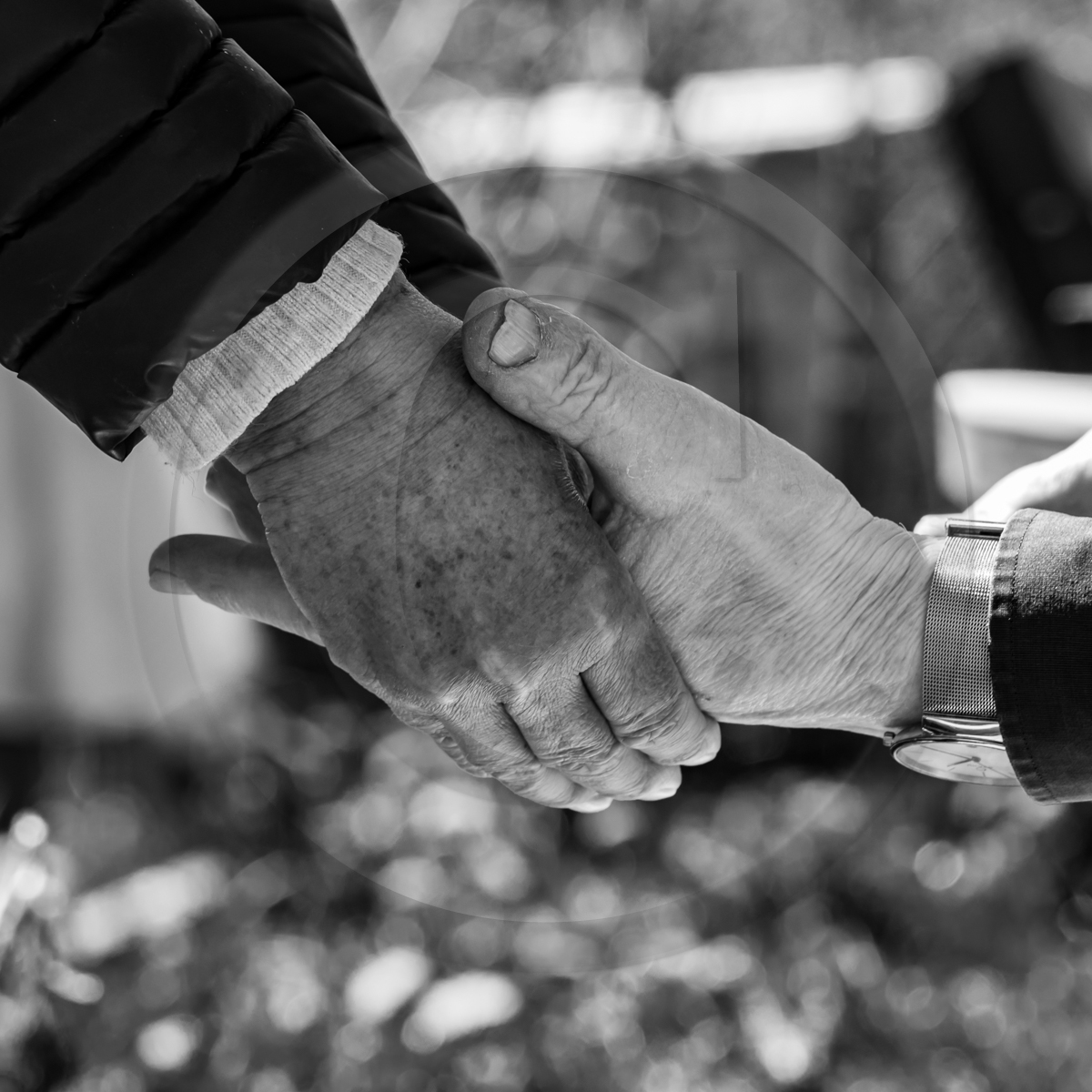 24 avril 2023 : Journée des aidants et des aidés