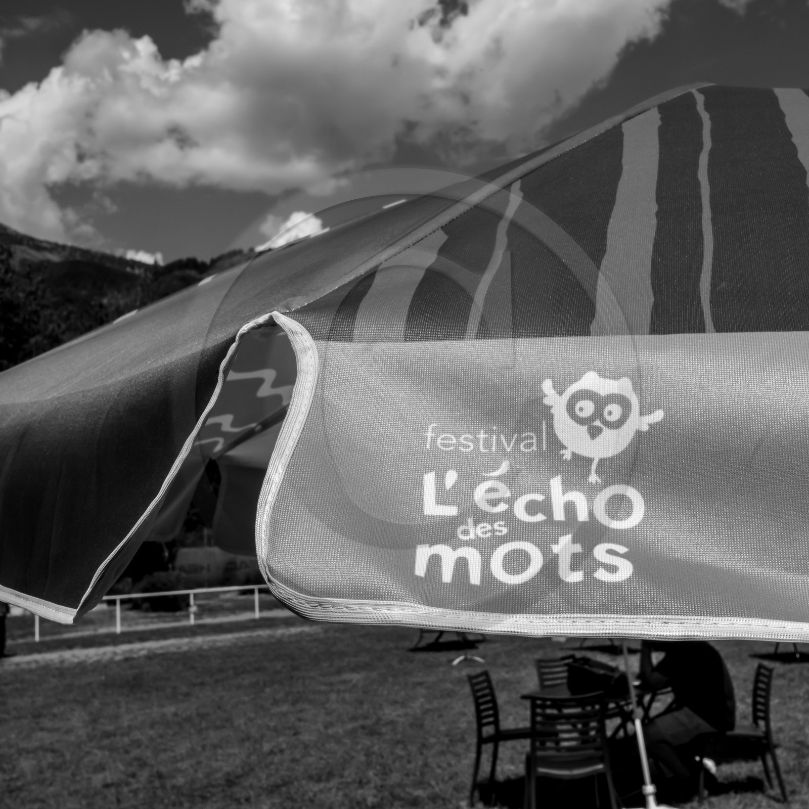 L'écho des mots