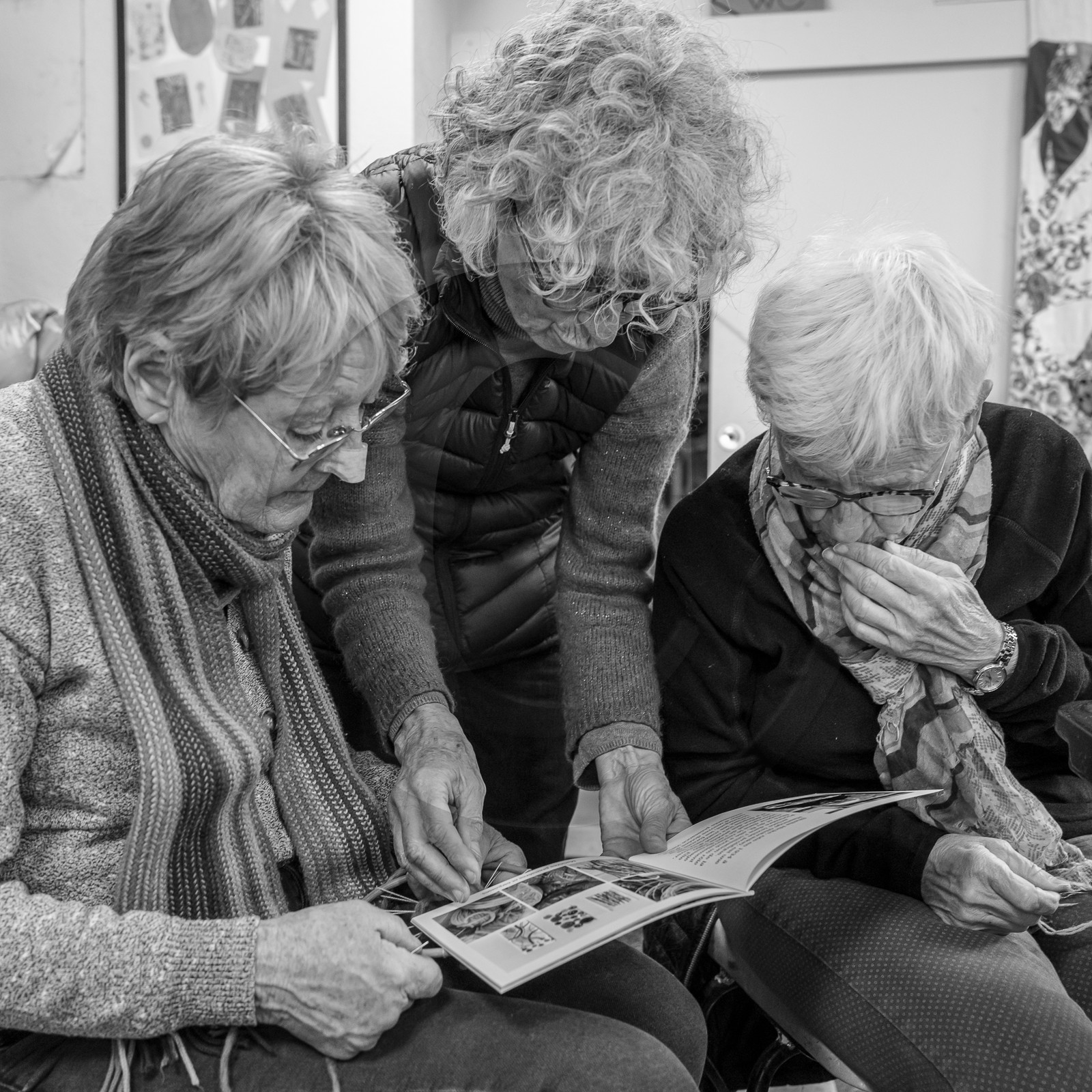 10 avril 2024 : Osier, laine et taille