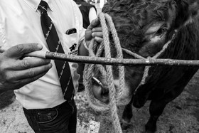 Rencontres paysannes à Saint-Bonnet en Champsaur