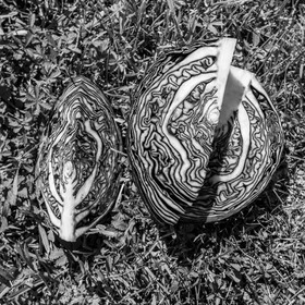 06 juin 2021 : Vide-Jardin et peinture végétale