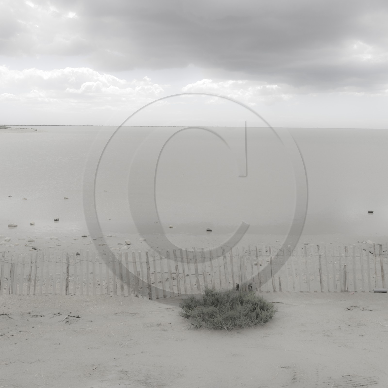 Camargue couleur pastel