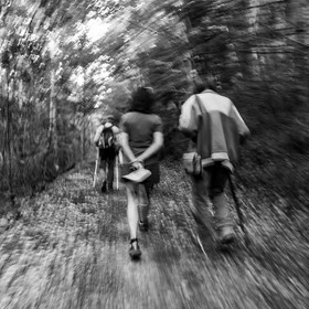 Arpenter le paysage avec Martin de la Soudière